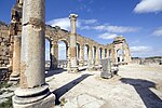 Site archéologique de Volubilis (avec Arcyon37 pour les cartes) (juillet 2020)