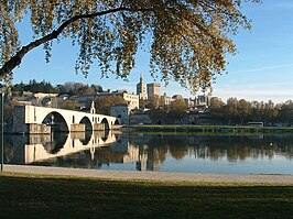 Zicht vanop het île de la Barthelasse op de stad Avignon en de restanten van de Pont Saint-Bénézet