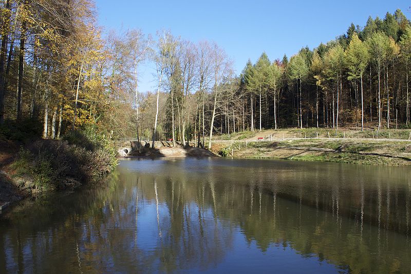 File:Walkeweiher - panoramio (22).jpg