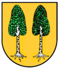 Hình thu nhỏ cho Tập tin:Wappen Birkenhard.png