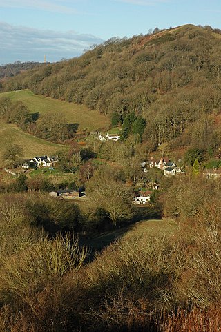 <span class="mw-page-title-main">Whiteleaved Oak</span> Human settlement in England