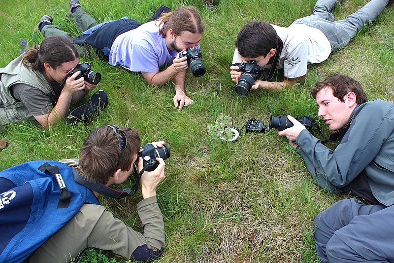 File:Wikitrip with botanist - Špičatý vrch-Barrandovy jámy Nature Monument 4.jpg