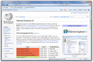 Bildschirmaufnahme des Internet Explorer 8 unter Microsoft Windows 7