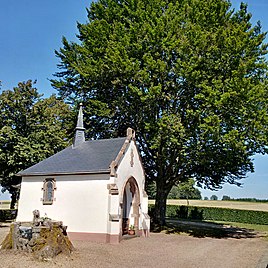 Wolwelinger Klause, in the foreground stump of tungsten beech