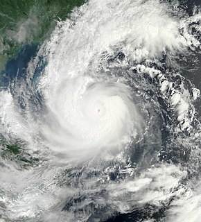 Typhoon Wutip (2013)