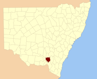 <span class="mw-page-title-main">Wynyard County</span> Cadastral in New South Wales, Australia