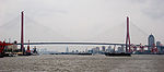 Yangpu Bridge.jpg