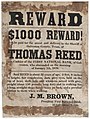 $1000 REWARD! will be paid of the arrest and delivery to the Sheriff of Galveston County, Texas, of THOMAS REED, late cashier of the FIRST NATIONAL BANK, of Galveston, who absconded in the morning of (7976728042).jpg