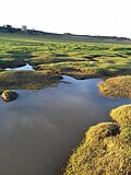 আনস জেলা এর থাম্বনেইল