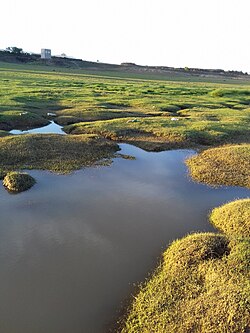 نمایی در جبل الدر در آنس