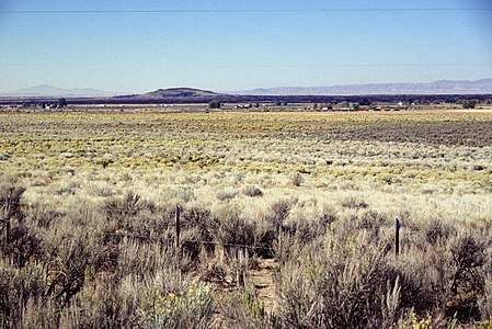 The Cinders, looking southwest towards the central cone