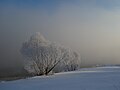 * Nomination: Winter sunrise over the Moscow River. By User:Vitaliy VK --Yann 21:28, 26 April 2024 (UTC) * Review Picture is ok but the Moscow River is large, would be great to have a more exact location. --Plozessor 03:28, 27 April 2024 (UTC)