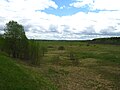 Field South of the village