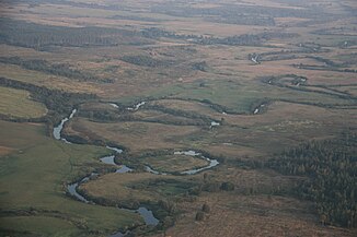 The Vichra near the former village of Teterinki on the Russian-Belarusian border