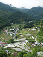 棚 田 - Tanada - Tokushima Kamikatsu, maio de 2011 (5767092654) .jpg