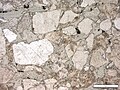 Sand grains and clayey matrix in a sandstone