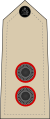 Лейтенант (малавийская армия)