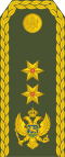 17-Montenegro Army-MG.svg