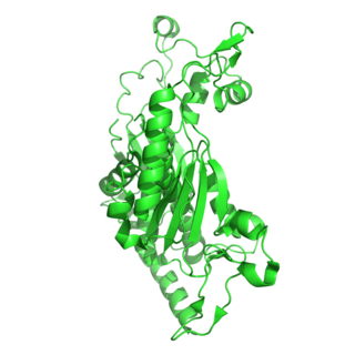 <span class="mw-page-title-main">Chorismate synthase</span>