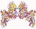 Thumbnail for Homoserine kinase