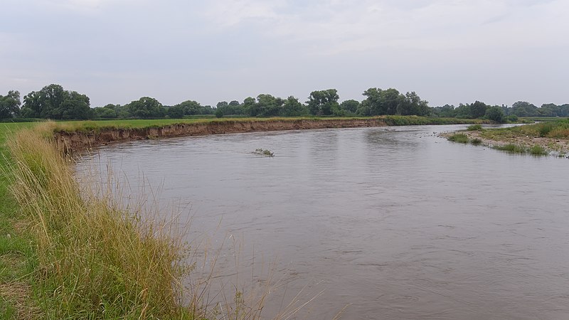 File:2014.07.10.-18-Eilenburg Hainichen--Mulde mit natuerlichem Steilufer.jpg