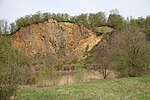 Naturschutzgebiet Dächelsberg/Ließemer Berg