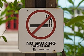 2016 Singapur, Chinatown, Park Telok Ayer, Znak "Zakaz palenia".jpg
