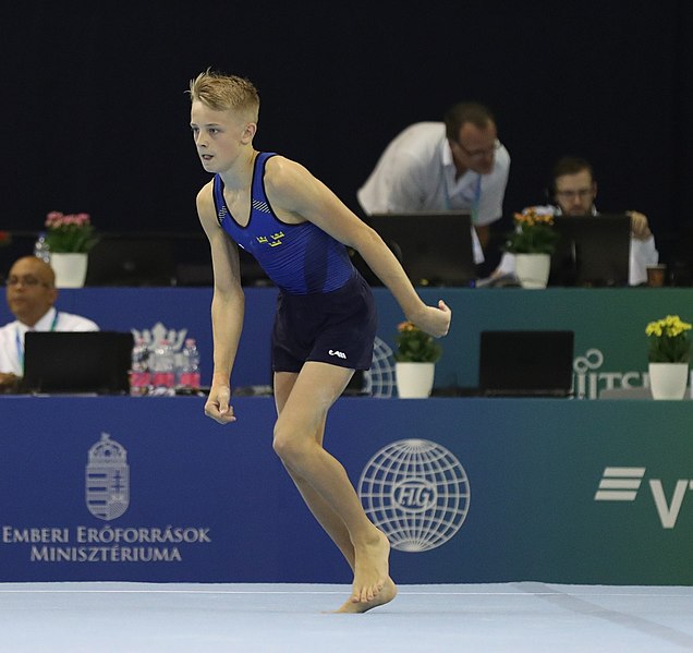 File:2019-06-27 1st FIG Artistic Gymnastics JWCH Men's All-around competition Subdivision 3 Floor exercise (Martin Rulsch) 162.jpg