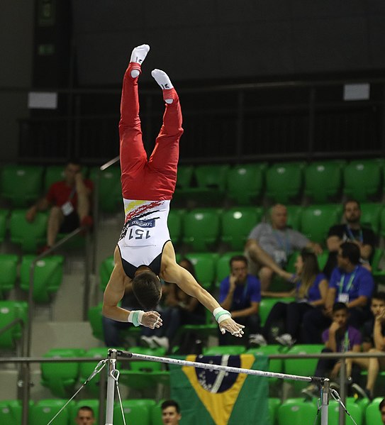 File:2019-06-27 1st FIG Artistic Gymnastics JWCH Men's All-around competition Subdivision 4 Horizontal bar (Martin Rulsch) 234.jpg