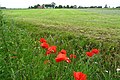 Miniatuurafbeelding voor de versie van 29 jun 2019 22:48