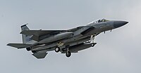 A US Air Force F-15C Eagle, tail number 81-0020, on final approach at Kadena Air Base in Okinawa, Japan