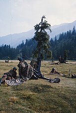 Canons DCA 20 mm 54 camouflé (1966)