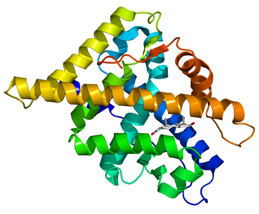 Kernereceptor