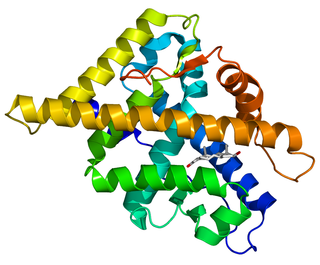 <span class="mw-page-title-main">Androgen receptor</span> Mammalian protein found in humans