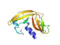 Vignette pour Amphinase