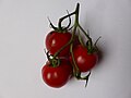 3-tomaten-1.jpg