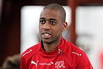 Vignette pour Gelson Fernandes