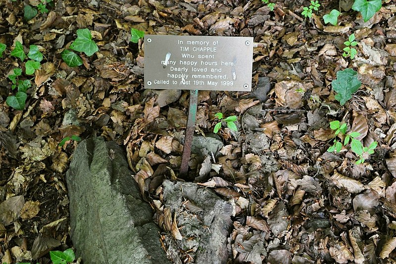 File:A memorial plaque in Chapel Woods - geograph.org.uk - 2150088.jpg