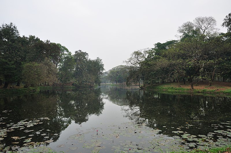 File:Acharya Jagadish Chandra Bose Indian Botanic Garden - Howrah 2011-02-20 1629.JPG