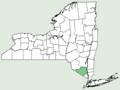 New York distribution map