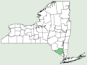 Actinidia polygama NY-dist-map.png
