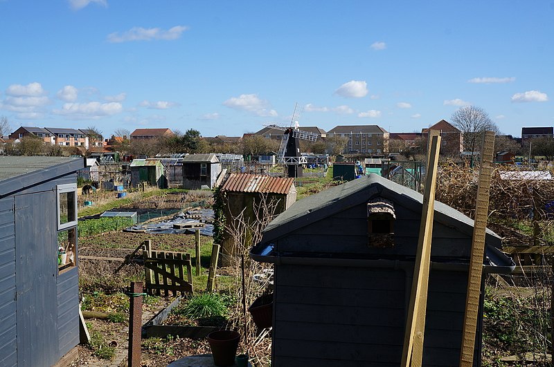 File:Allotments off Flemingate, Beverley - geograph.org.uk - 4418133.jpg