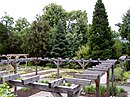 [[[Jardin botanique de l'université Georg August de Göttingen]].