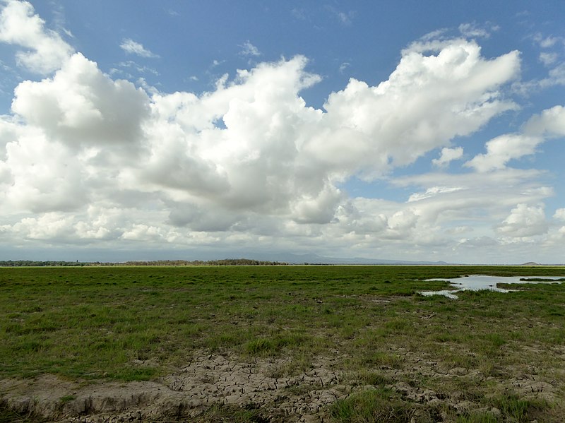 File:Amboseli sky (32892884326).jpg