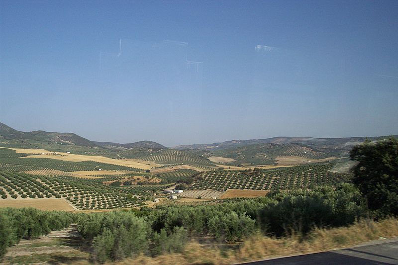 File:Andalucia (009).jpg