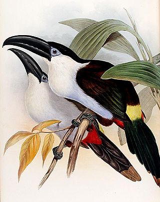 <span class="mw-page-title-main">Colibri del Sol Bird Reserve</span>