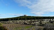 Miniatura per Castel del Monte (vino)