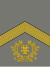 Army-POR-OR-08.svg 