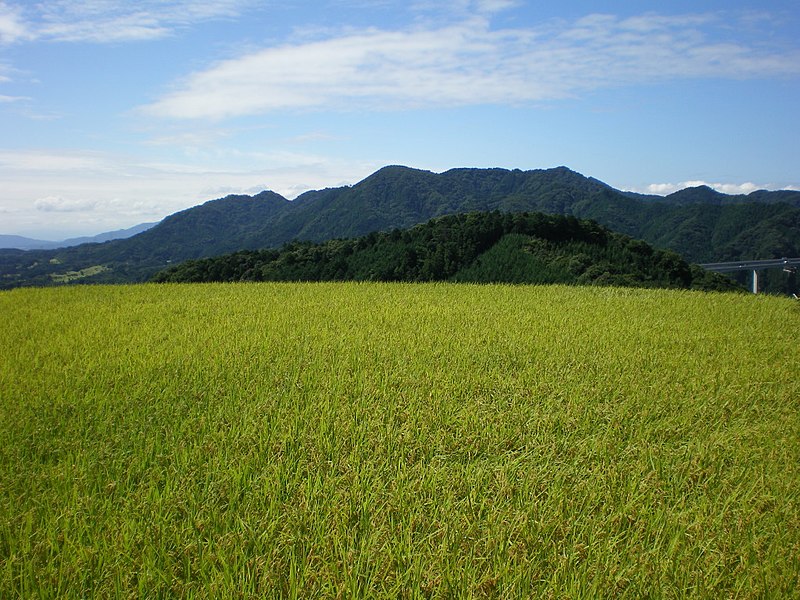 File:Asakayamacho, Kameyama, Mie Prefecture 519-0223, Japan - panoramio.jpg