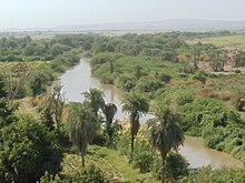 Gallery forest along the Awash River in the Afar region of Ethiopia Awash River Valley, Asaita, Afar, Ethiopia.JPG